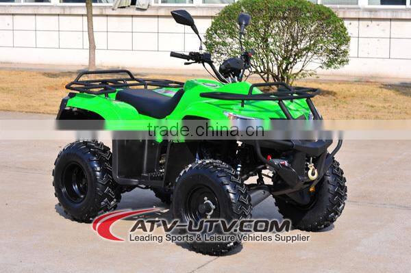 250cc EEC Approved Adult Cheap Dune Buggy (AT2503)