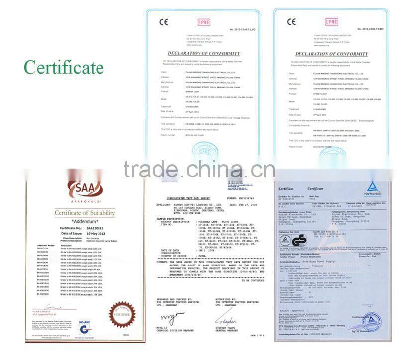 grow light electronic box for HPS600W Convertible Magnetic ballast