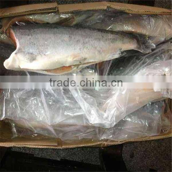 deep sea well taste or market fish and frozen seafood