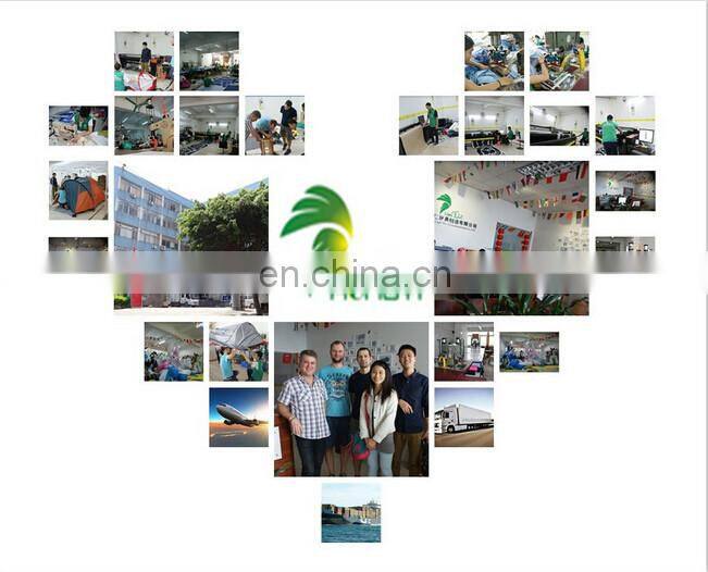 Hongyi New Design Blue Inflatable Costumes Lyjenny, Inflatable Dragon Suit/ Inflatable Suit for Men for Sale