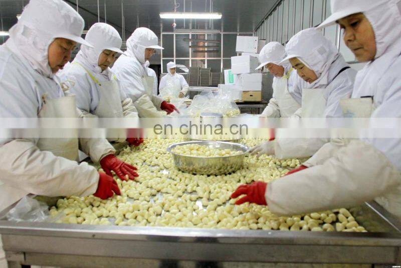 Automatic garlic flakes machine auto dehydrated garlic flake making equipment dehydration machinery cheap price for sale