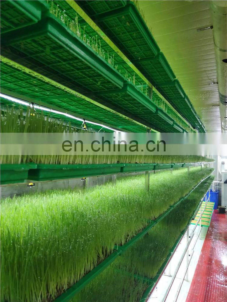 OrangeMech Automatic Hydroponic Fodder System For Cow Farm use with low cost