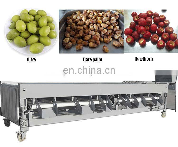 Fruit And Vegetable Sorting/Grading Machine.