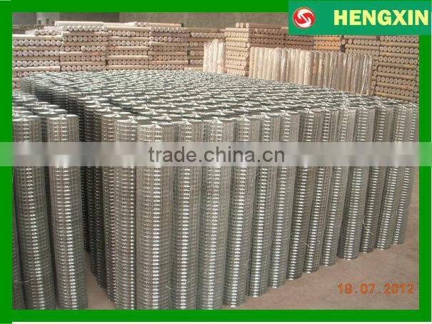 Galvanized welded wire mesh dongtai welded wire mesh machine/building materials