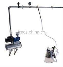 Stainless Steel Pail bucket milking machine