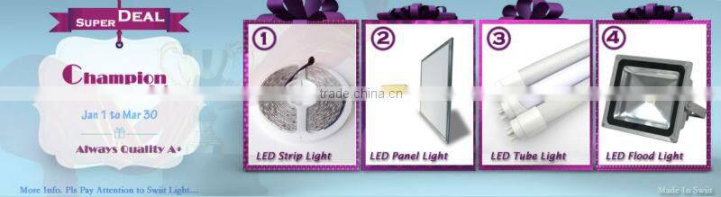 High Lumen Waterproof IP65 RGB 100W LED Floodlight