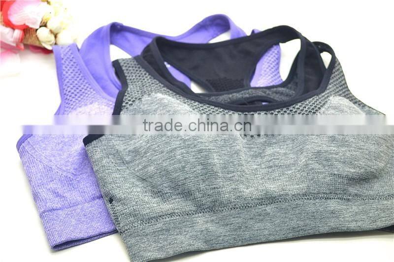 sexy ladies sport crop top padded bra underwear wholesale