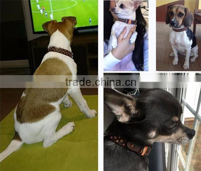 New Pet Supplies PVC leather Custom dog collars 3D Star Pattern