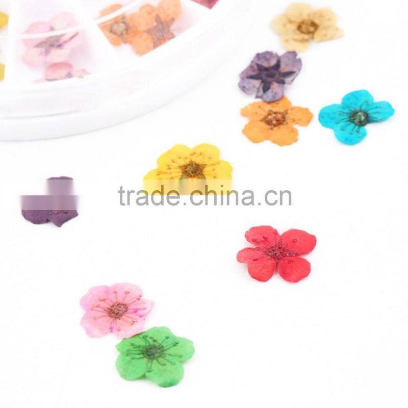 Stickers & Decals Cheap 3D Dry Flower, Mix 12 Color Decorations Real Dried Dry Flower for Nail Art Decorations ZX:GH741