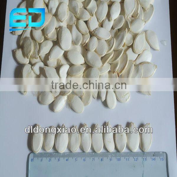 Crop Top Different Types of Seeds High Quality Snow White Pumpkin Seeds