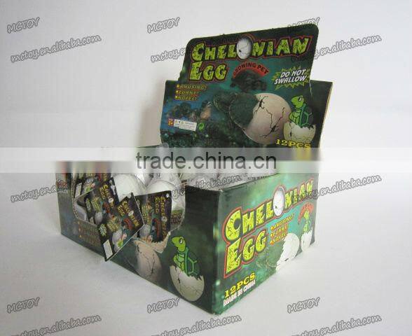 2013 HOT big size magic growing Tortoise chelonian egg children toy wholesale easter
