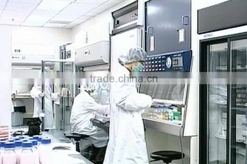 OEM service YILIN brands 220g Thai Sweet Chili hot Sauce in China factory