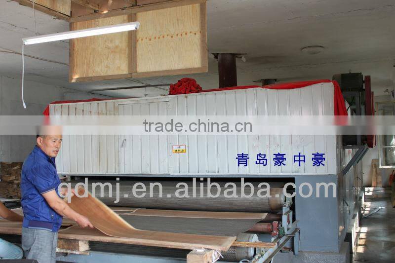 One layer veneer net dryer machine