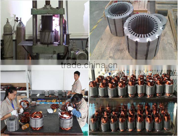 Electrical Emergency Generator With Rare Earth Magnet Generator