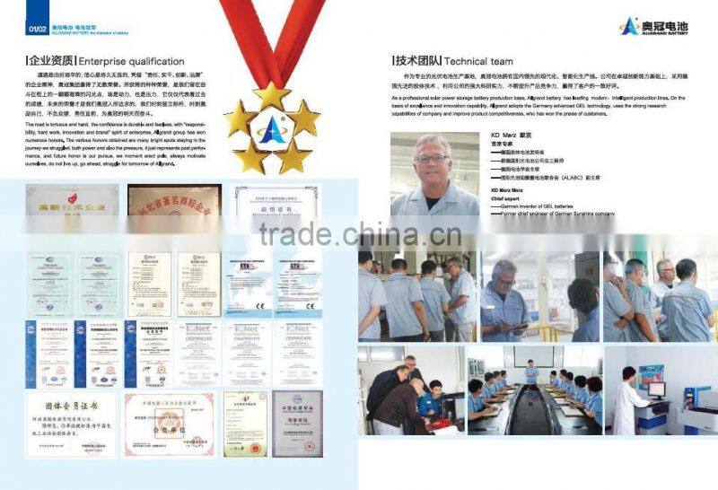 12V100Ah (6-EVFJ-100) EV GEL Battery