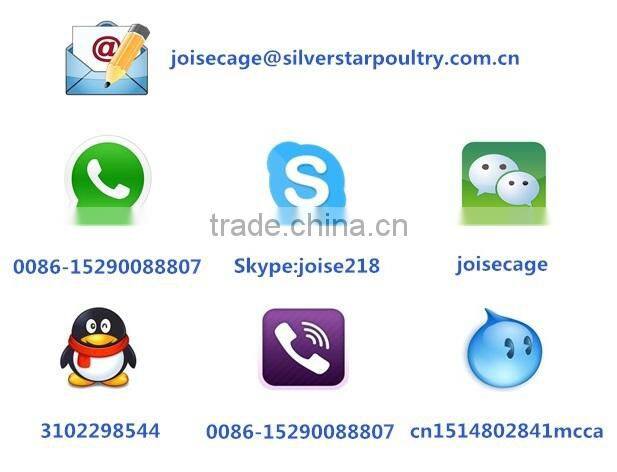 automatic belts manure removal/cleaning system chicken layer cage