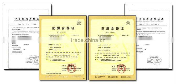 B Type High Pt100 Temperature Sensor Cable for Probe for Industry