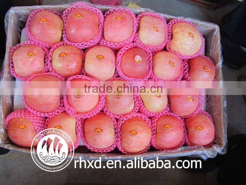 fuji apple of apple varieties