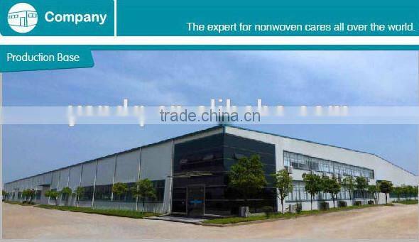 private label auto cleaning wet wipe with new design tub