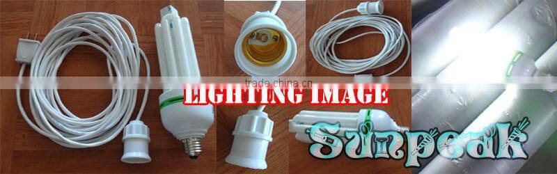 BL-296 Inflatable Ball/Inflatable Rolling Ball Games