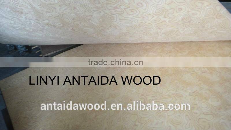 White burl veneer mdf from Linyi China
