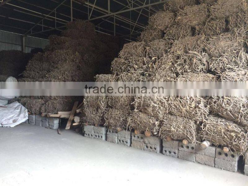Licorice Root Exporters from India