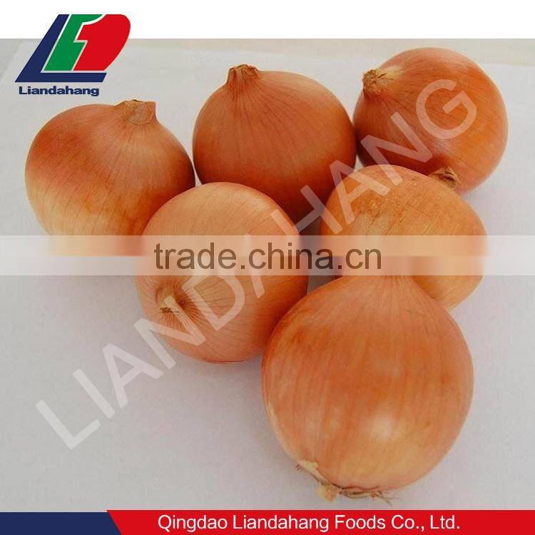 new crop shallot from China