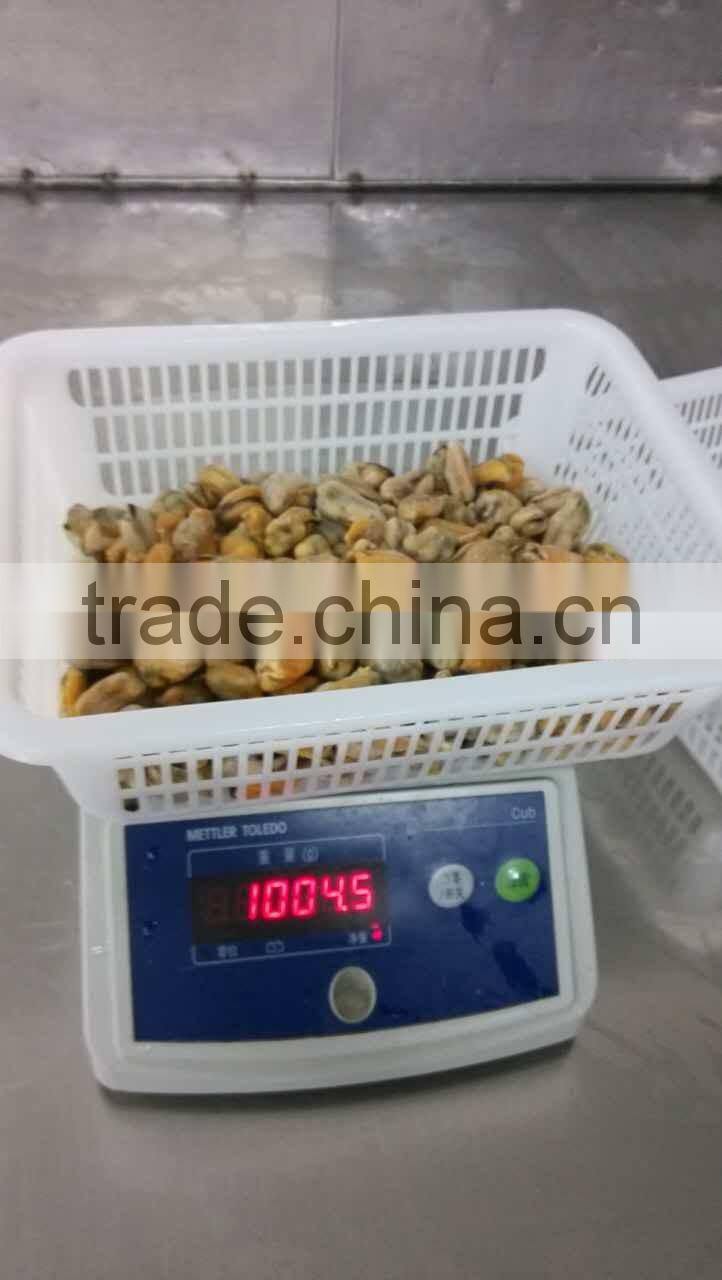 China seafood exporter frozen mussel boiled meat