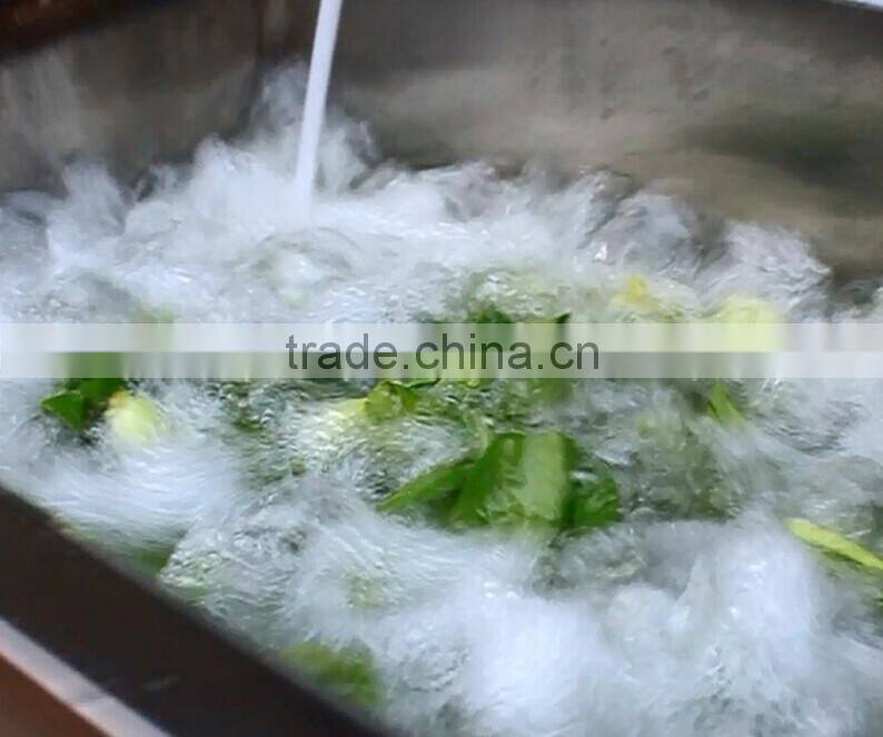 WASC-10 Commercial vegetable and fruit Washing Machine