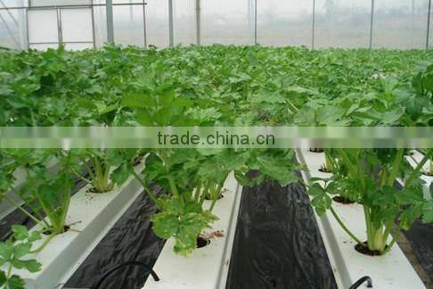 Most Popular Used Hydroponic Equipment for Sale
