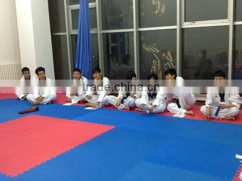 Factory Directly EVA Foam Mats/Taekwondo Floor Mats/Child Dance Exercise Mat