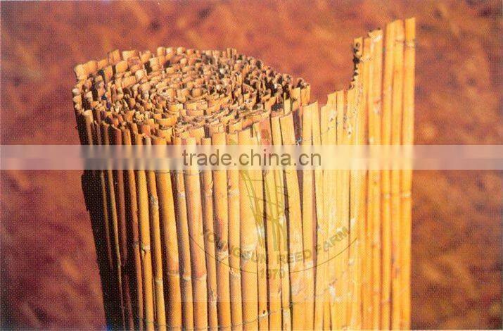 reed slat fence