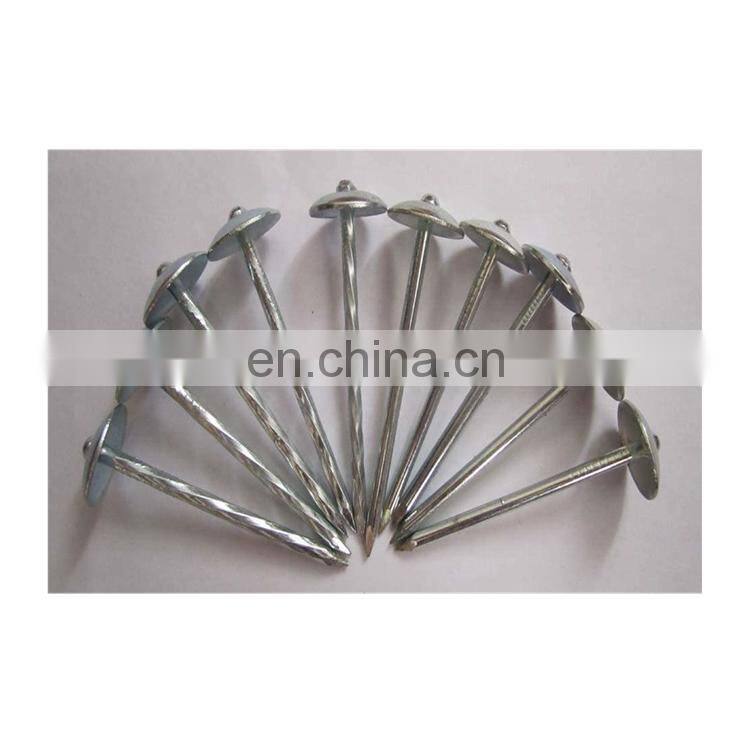 umbrella head galvanized roofing nails