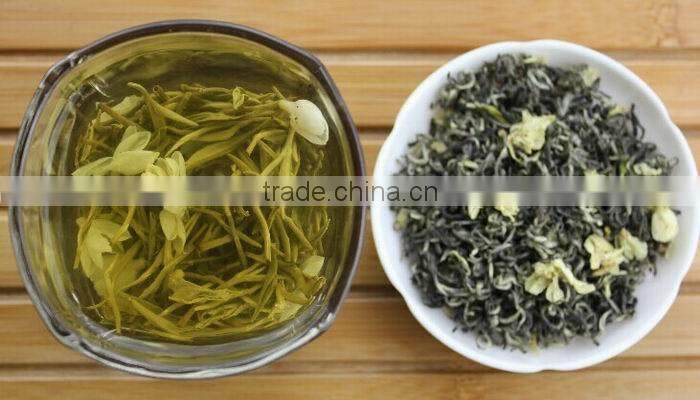 China popular fresh jasmine green tea all kinds of good jasmine green tea