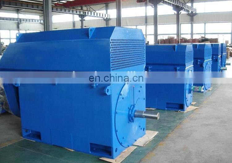 11KV high voltage three phase induction motor