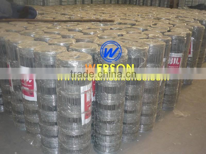Hot Dipped Galvanized Hog Wire Fencing