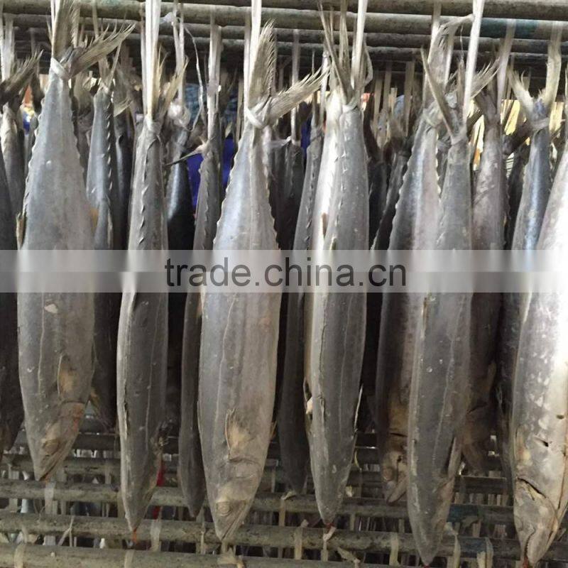 2015 hung frozen spanish mackerel whole gutted