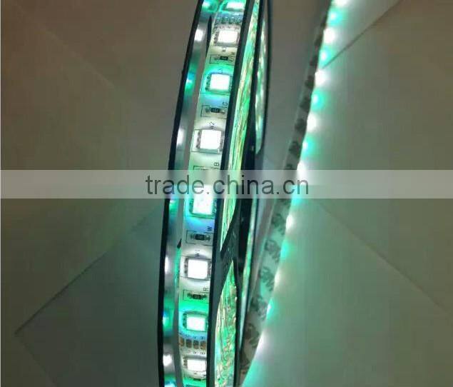 DC12V dc24v SMD 5050 LED Strip RGBW