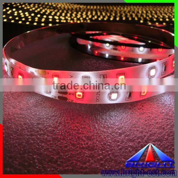 DIY White-Red Flexible LED Strip Light 2835 DC12V