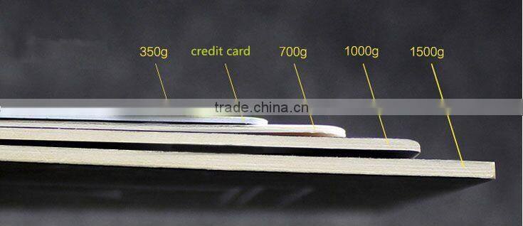 Nes design label tags with plastic transparent layer logo for cloth
