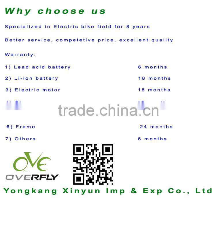 electric assisted bicycle
