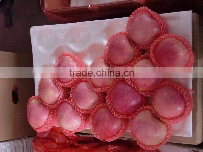 fresh apple fruit wholesale distributors fresh sugar apple for sale red chief apple