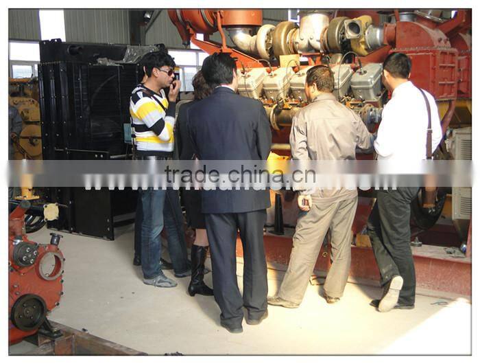 300kW syngas generator/cogeneration equipment/biomass gasification power plant