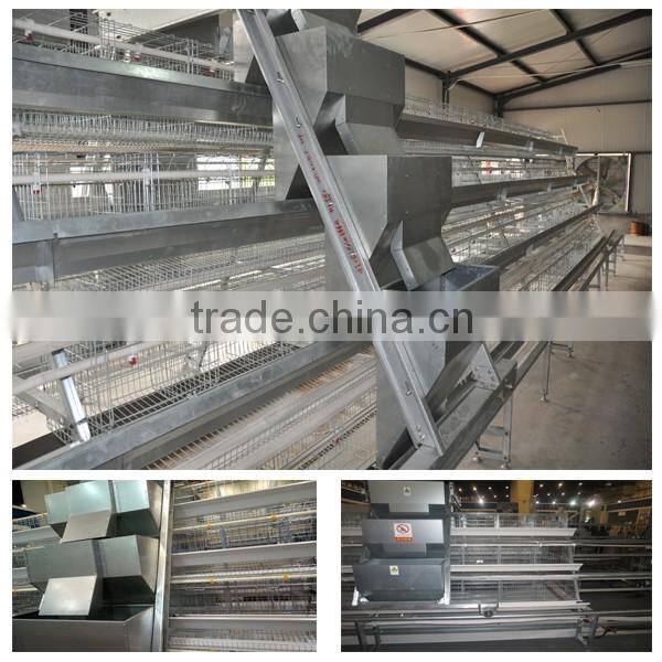 Hot selling in South africa A type layer cage for sale