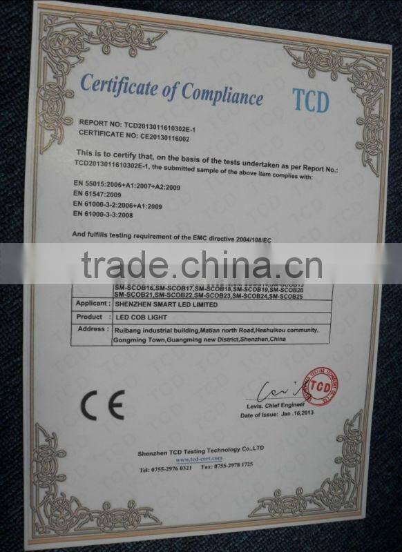 15W COB LED Par 38 down light