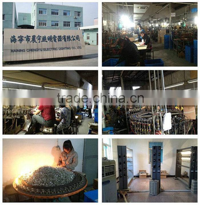 Inexpensive Items ISO9001Certificate Round 120V 60Hz Light Bulb