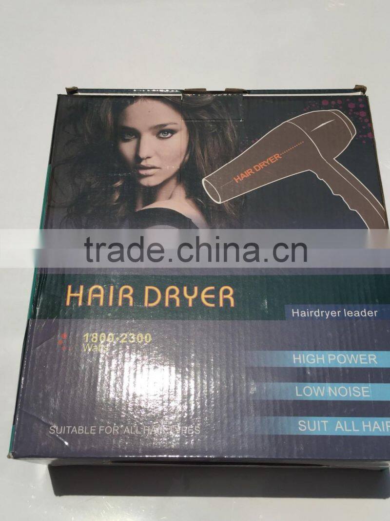 Salon Use Professional Hair Dryer Super Silent With AC Motor