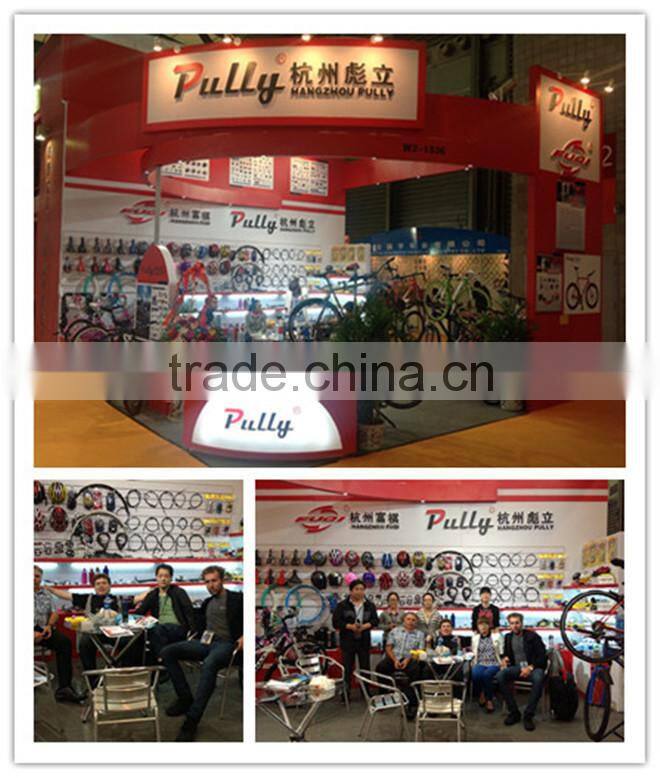 Racing Road Bike Single Speed Fixed Gear Bicycle