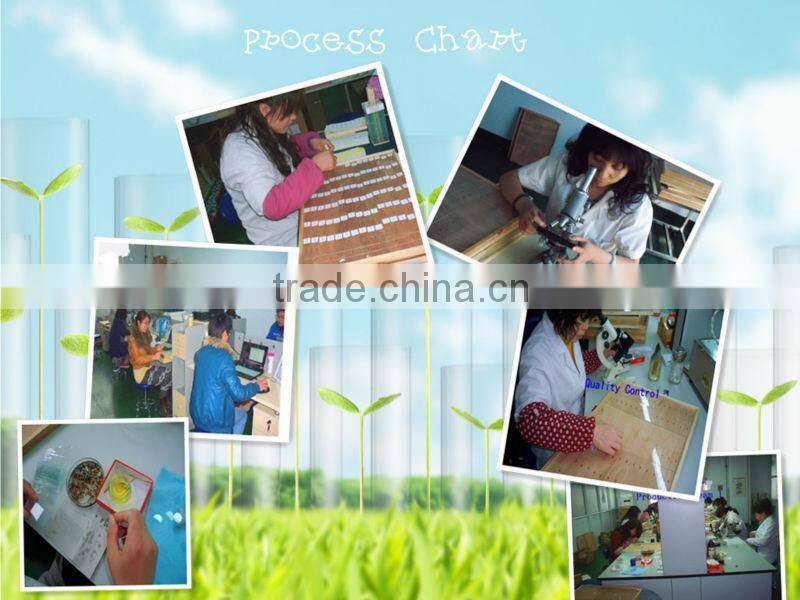 Educational supplies teaching medical survey and bacterial prepared slides