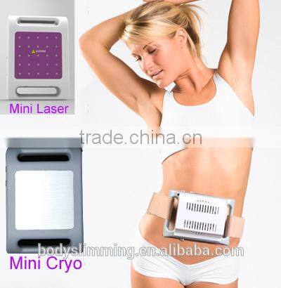 2015 Newest Mini Lipo Cryolipolysis / Home Use Mini Cryo / Cool Slim